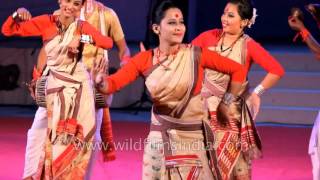 Assamese women present signature Bihu dance [upl. by Yeroc]