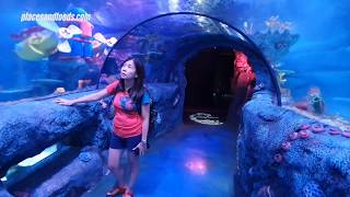 SEA LIFE Legoland Malaysia Review and Walkthrough  Places And Foods [upl. by Ecinerev]