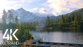 8 Hours of Birds Singing on the Lakeshore and Water Sounds  Relaxing Nature Sounds  Mount Shuksan [upl. by Atiuqahc]