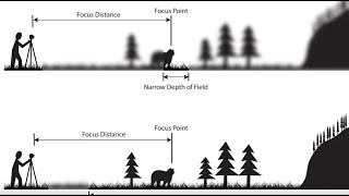 Depth of Field An Easy Overview 2023 [upl. by Philipson639]