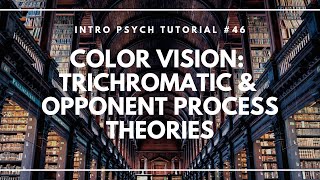 Color Vision Trichromatic and Opponent Process Theories Intro Psych Tutorial 46 [upl. by Fricke]