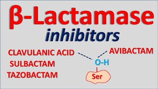 Betalactamase inhibitors [upl. by Secundas]