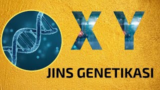 JINS GENETIKASI  BIOLOGIYA  VIDEODARS [upl. by Hendrik]