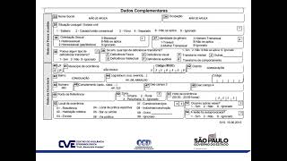 Instrução de Preenchimento da Ficha de Notificação de Violência Interpessoal e Autoprovocada [upl. by Alwyn]