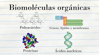 Componentes químicos de las células  Medicina en 5 MINUTOS [upl. by Adnileb]