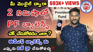 How To Check PF Balance Online In Telugu  Umang App Details  Check Your EPF Balance In 2 Minutes [upl. by Elleined619]