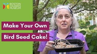 Make Your Own Homemade Bird Seed Cake [upl. by Mit679]