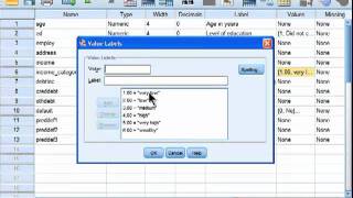 Spearman Correlation  SPSS part 1 [upl. by Clement]