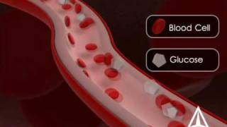 Diabetes Education  3D Medical Animation [upl. by Zamir570]