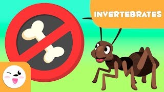 Invertebrate animals for kids  Introduction [upl. by Brockie]