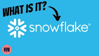 What is Snowflake The Biggest US Software IPO in History [upl. by Mozart]