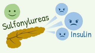 Mechanism of Action of Sulfonylureas and Meglitinide Analogs [upl. by Eberhart559]