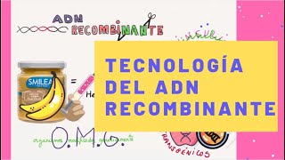 Tecnología del ADN Recombinante [upl. by Yraccaz993]