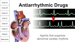 Antiarrhythmic Drugs [upl. by Yelsel]