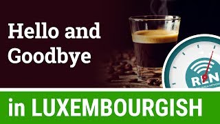 How to say Hello and Goodbye in Luxembourgish  One Minute Luxembourgish Lesson 1 [upl. by Abijah603]