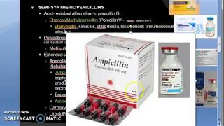 Pharmacology 789 b Semi Synthetic Penicillin Phenoxy methyl Cloxacillin ampicillin amoxicillin [upl. by Sterne]