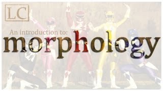 An Introduction to Morphology [upl. by Ninetta]