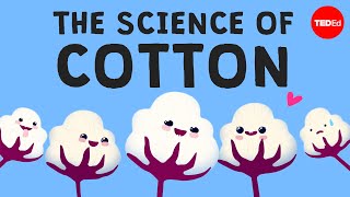 Why is cotton in everything  Michael R Stiff [upl. by Stephania711]