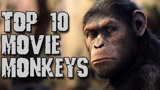 Dark Corners Top Ten Movie Monkeys [upl. by Bobbe]