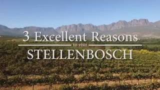 3 Excellent Reasons to Visit Stellenbosch [upl. by Goebel221]