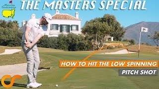 HOW TO HIT THE LOW SPINNING PITCH  MASTERS SPECIAL [upl. by Aneerak]