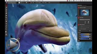 Getting to know the photo art tools in Painter Essentials 8 [upl. by Morville]