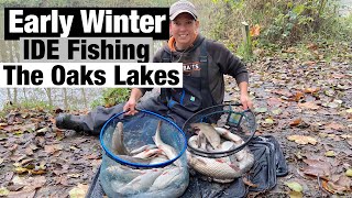 Early Winter IDE fishing  The Oaks Lakes I Alders Lake [upl. by Ntisuj]