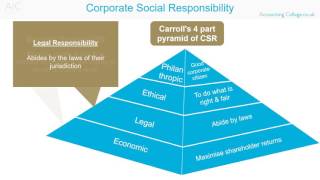 Corporate Social Responsibility  ACCA P1 Revision Theory [upl. by Jacklin402]