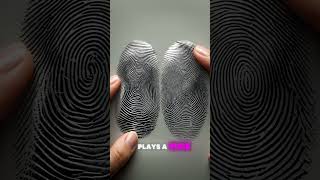 Identical Twins and Fingerprints [upl. by Elleyoj93]