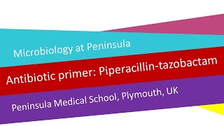 Antibiotic primer 5  piperacillintazobactam [upl. by Raimondo]