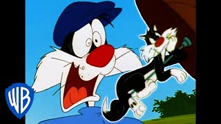 Looney Tunes  Best of Sylvester  WB Kids [upl. by Klapp]