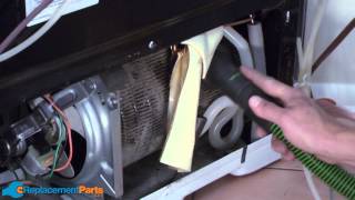 How to Clean the Condenser Coil on a Refrigerator [upl. by Orravan]