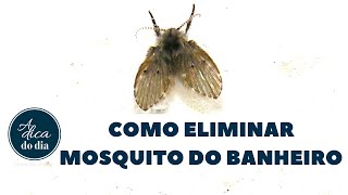 COMO ELIMINAR O MOSQUITO DO BANHEIRO  A DICA DO DIA COM FLÃVIA FERRARI [upl. by Etnoek]