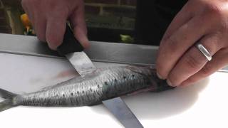 Passionate About Fish  How to prepare Sardines [upl. by Annavoj]