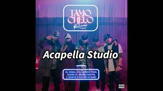 TAMO CHELO REMIX  ACAPELLA STUDIO [upl. by Dupaix]