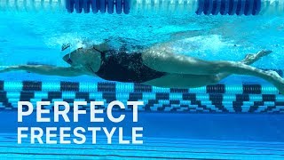 How To Swim Freestyle With Perfect Technique [upl. by Birdella]