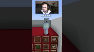 WALLIBEAR TAKES ON MOB ARENA gaming ⁠youtube funny minecraft memes tiktok shorts ytshorts [upl. by Arodasi]