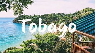 TOBAGO  TOP 10 THINGS to See amp Do  Travel Guide [upl. by Ecile]