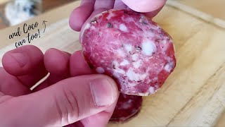 BASIC SALAMI RECIPE Dry Cured in Wine Fridge  Matt The Butcher [upl. by Alyson127]