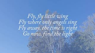 Fly  Celine Dion Lyrics [upl. by Eibreh243]