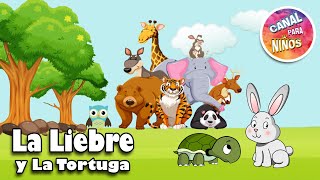 El Cuento de la Liebre y la Tortuga  Moraleja [upl. by Lark386]