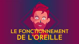 Le fonctionnement de loreille  Amplifon [upl. by Charron]