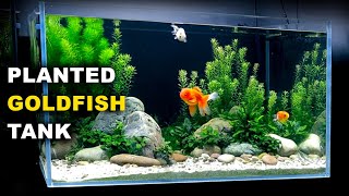 Aquascape Tutorial PLANTED GOLDFISH Aquarium The ORanchu Crew How To Full Step By Step Guide [upl. by Ofelia]