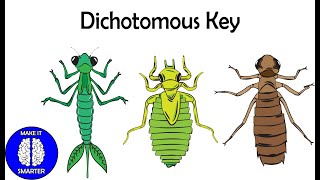 Dichotomous Key [upl. by Roderich]