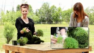 Planting Your Green Piece Wire Art Topiary [upl. by Redla]