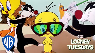 Looney Tuesdays  The Cat amp The Canary  Looney Tunes  WB Kids [upl. by Barren]