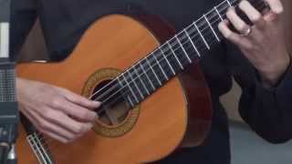 Classical Guitar Lesson 1 [upl. by Adekram43]