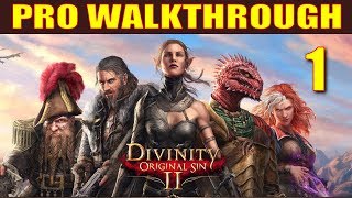 Divinity Original Sin 2 Walkthrough Part 1  5 Things They Dont Tell You in Character Creation [upl. by Meeker]