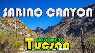 Tucson Arizona  Sabino Canyon [upl. by Ella]