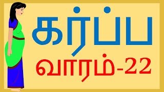 Pregnancy  Tamil  Week 22  வாரம் 22 [upl. by Clancy]